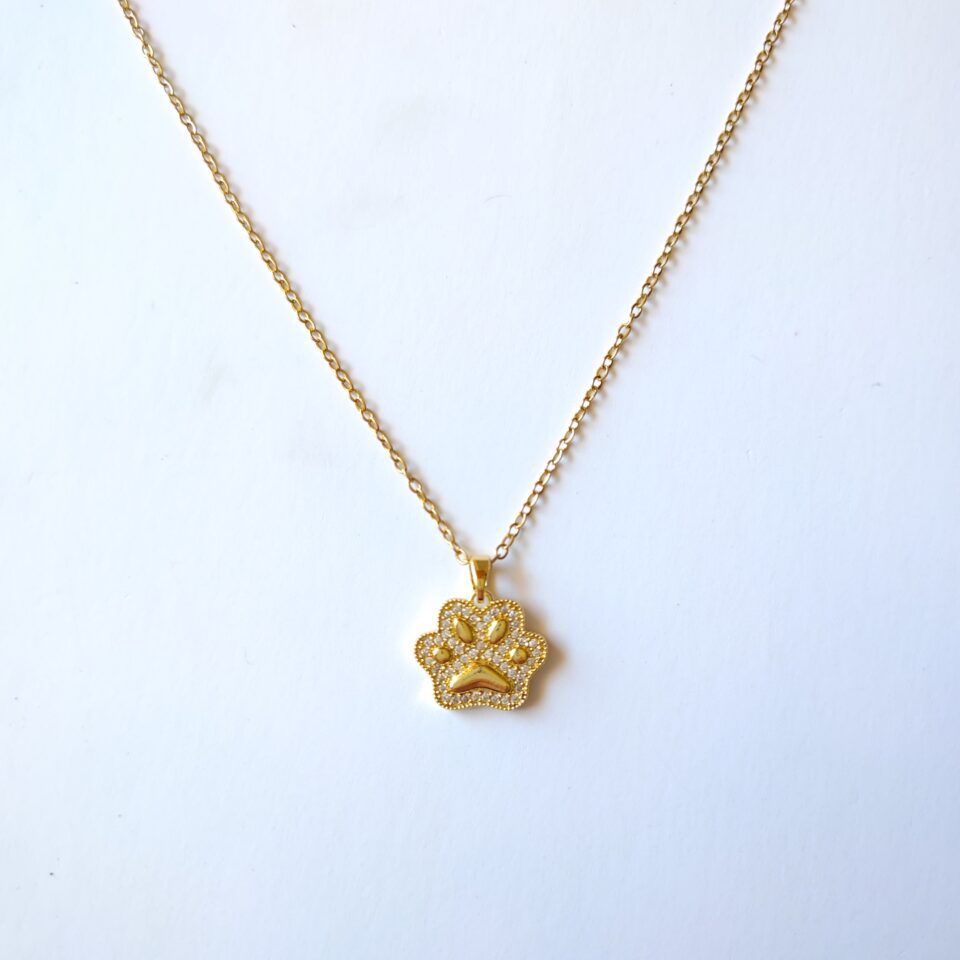 Collar huellitas de perro
